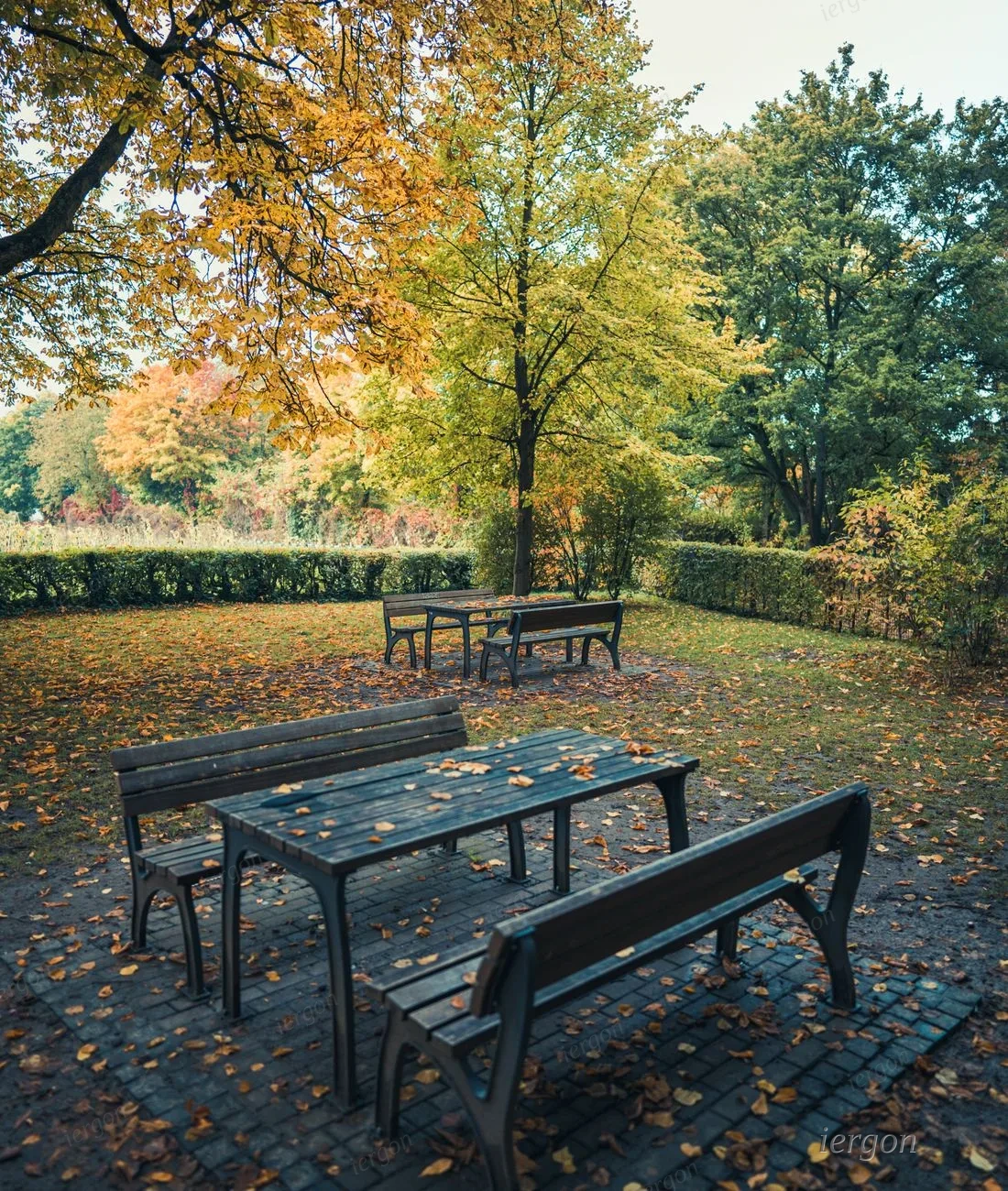 Garden Benches