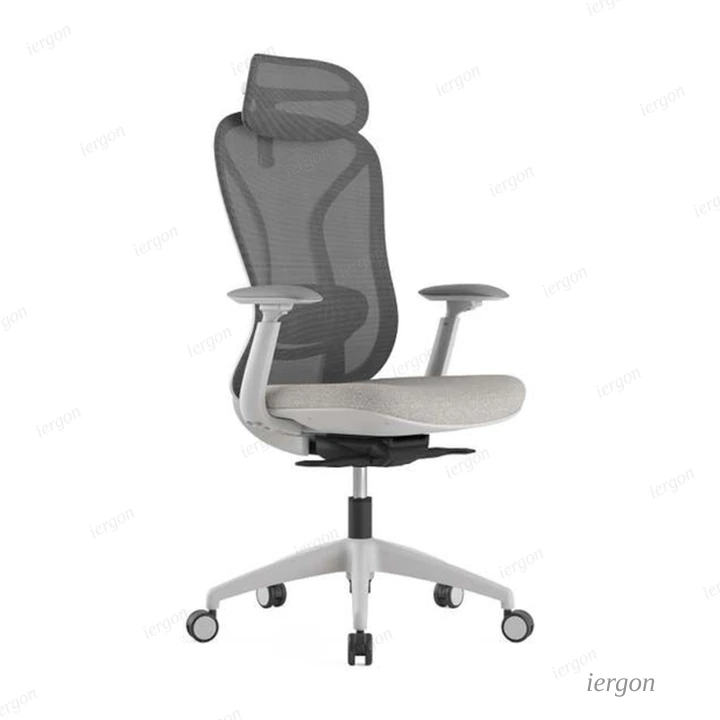 Ergo Task Chair